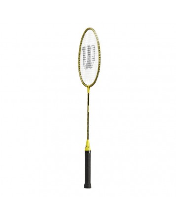Minions Badminton Set 2